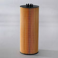 Filtro P550453