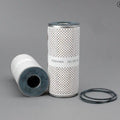 Filtro P550484