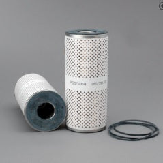 Filtro P550484