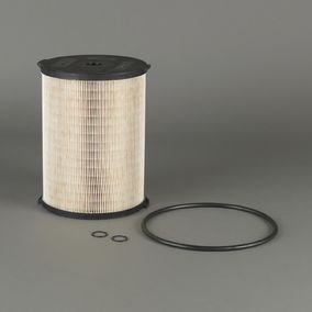 Filtro P550493