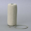 Filtro P550541