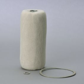 Filtro P550541
