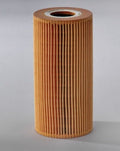 Filtro P550563
