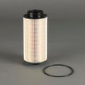 Filtro P550631