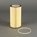 Filtro P550661