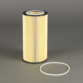 Filtro P550661