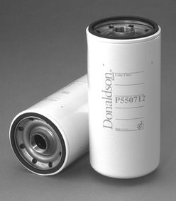 Filtro P550712