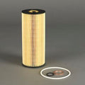 Filtro P550764