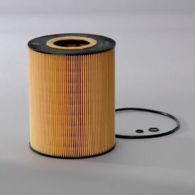 Filtro P550765