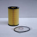 Filtro P550766