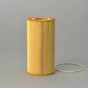 Filtro P550812