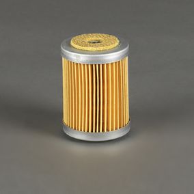 Filtro P550862