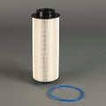 Filtro P550863