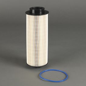 Filtro P550863