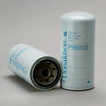 Filtro P550920