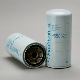 Filtro P550920