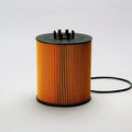 Filtro P550938