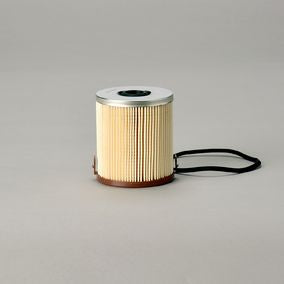 Filtro P550966