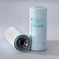 Filtro P551319