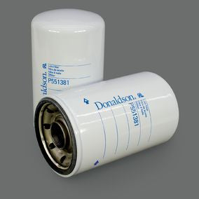 Filtro P551381