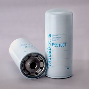 Filtro P551807