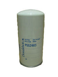 Filtro P552483