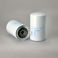 Filtro P553871