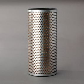 Filtro P555461