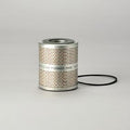 Filtro P555603