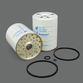 Filtro P556287