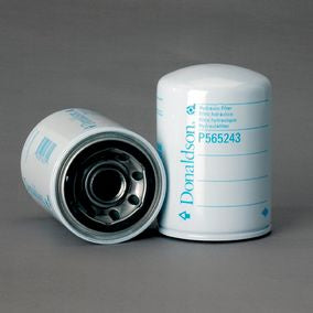 Filtro P565243