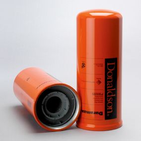 Filtro P569209