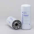 Filtro P582021