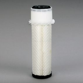 Filtro P600043