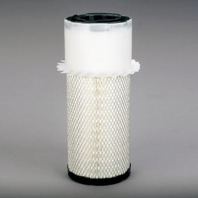Filtro P601437