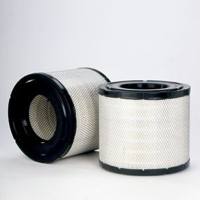 Filtro P603755