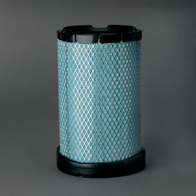 Filtro P603757
