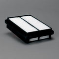 Filtro P606272