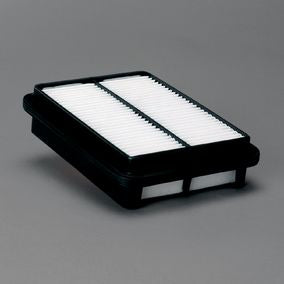 Filtro P606272