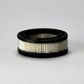 Filtro P606951