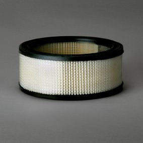 Filtro P607255