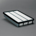 Filtro P607300