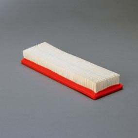 Filtro P607333