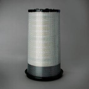 Filtro P608116