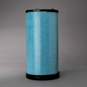 Filtro P608305