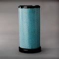 Filtro P613926