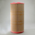 Filtro P618930