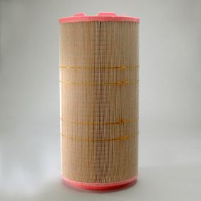 Filtro P618930