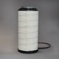 Filtro P625287