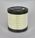 Filtro P625546